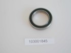  - BL65-0380 Bearing